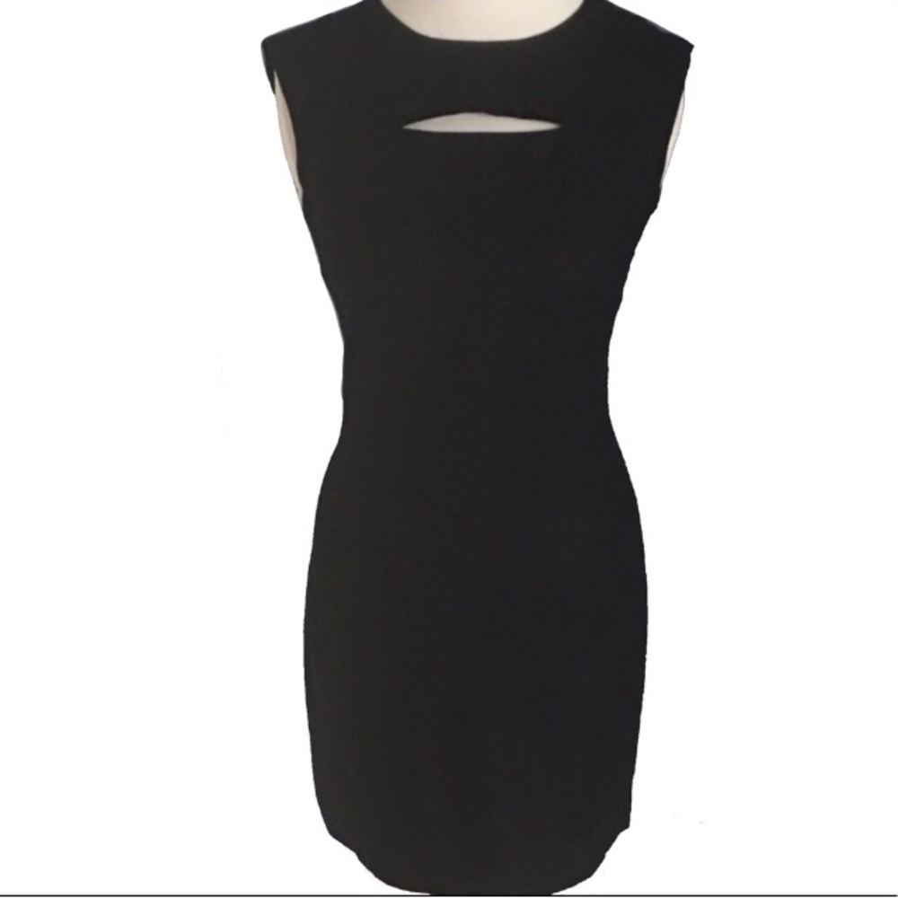 Club Monaco sheath dress with front cut out sz 2